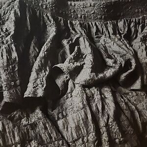 Black lace ruffle skirt